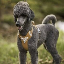 Hurtta Weekend Warrior Hundesele Brun -Kjæledyrutstyr Salgsbutikk hurtta weekend warrior valjas aavikko az b4