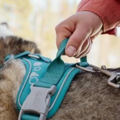 Hurtta Weekend Warrior Hundesele Turkis -Kjæledyrutstyr Salgsbutikk hurtta weekend warrior valjas riikinkukko az 8e