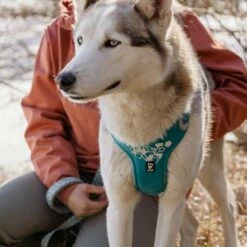 Hurtta Weekend Warrior Hundesele Turkis -Kjæledyrutstyr Salgsbutikk hurtta weekend warrior valjas riikinkukko az 92