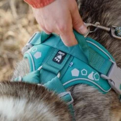 Hurtta Weekend Warrior Hundesele Turkis -Kjæledyrutstyr Salgsbutikk hurtta weekend warrior valjas riikinkukko az c3