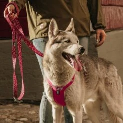 Hurtta Weekend Warrior Hundesele Rosa -Kjæledyrutstyr Salgsbutikk hurtta weekend warrior valjas rubiini az f5
