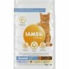 Iams For Vitality Cat Adult Dental Chicken