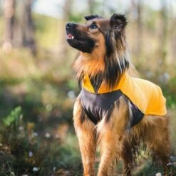 Pomppa Jumppa Fleecetrøye Hund Gul -Kjæledyrutstyr Salgsbutikk jumppapomppa koiran paita curry az 13