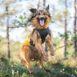 Pomppa Jumppa Fleecetrøye Hund Gul -Kjæledyrutstyr Salgsbutikk jumppapomppa koiran paita curry az 31