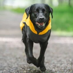 Pomppa Jumppa Fleecetrøye Hund Gul -Kjæledyrutstyr Salgsbutikk jumppapomppa koiran paita curry az 4d