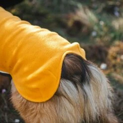 Pomppa Jumppa Fleecetrøye Hund Gul -Kjæledyrutstyr Salgsbutikk jumppapomppa koiran paita curry az d5