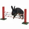 Kerbl Upright Jump Kaninhinder 1 Kerbl Upright Jump Kaninhinder -Kjæledyrutstyr Salgsbutikk kanin agilityeste kerbl az cf
