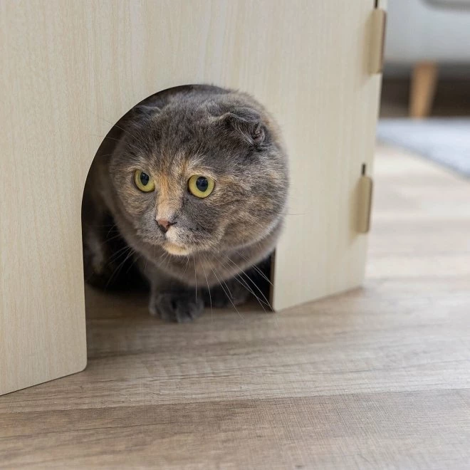 Kerbl Katteslott 4 Kerbl Katteslott - Bilde 2