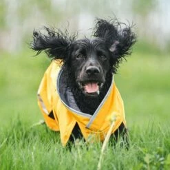 Pomppa Kevyt Regnjakke Hund Gul -Kjæledyrutstyr Salgsbutikk kevytpomppa koiran mantteli curry az 43