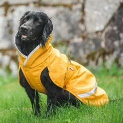 Pomppa Kevyt Regnjakke Hund Gul -Kjæledyrutstyr Salgsbutikk kevytpomppa koiran mantteli curry az 5d