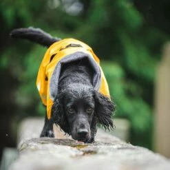 Pomppa Kevyt Regnjakke Hund Gul -Kjæledyrutstyr Salgsbutikk kevytpomppa koiran mantteli curry az dd