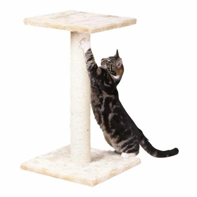 Trixie Espejo Kloresøyle 3 Trixie Espejo Kloresøyle