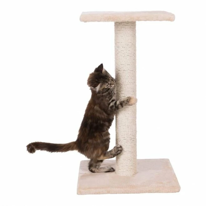 Trixie Espejo Kloresøyle 4 Trixie Espejo Kloresøyle - Bilde 2