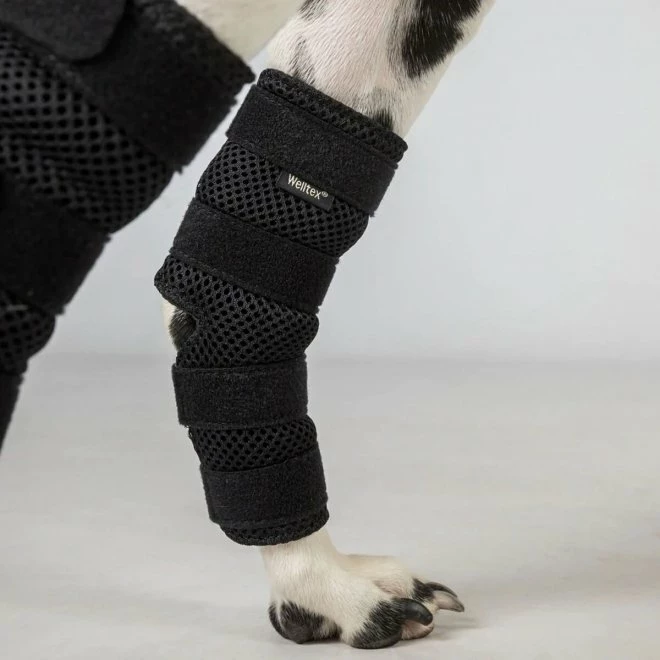 Back On Track Dixie Hasebeskytter 4 Back On Track Dixie Hasebeskytter - Bilde 2