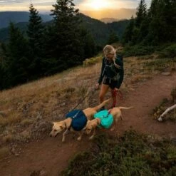 RuffWear Front Range Kløvveske Blå -Kjæledyrutstyr Salgsbutikk koiran reppu ruffwear front range sininen az af