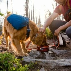 RuffWear Front Range Kløvveske Blå -Kjæledyrutstyr Salgsbutikk koiran reppu ruffwear front range sininen az d8