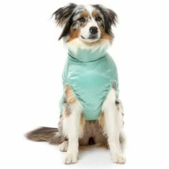 FuzzYard The Eastcoast Hundejakke Turkis -Kjæledyrutstyr Salgsbutikk koiran takki fuzzyard eastcoast minttu az 58