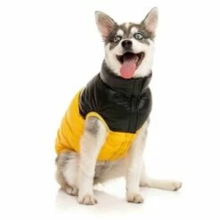 FuzzYard Harlem Puffer Hundejakke Gul