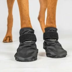 Back On Track Koda Hundesko 8 Back On Track Koda Hundesko -Kjæledyrutstyr Salgsbutikk koiran tossut back on track koda az c5