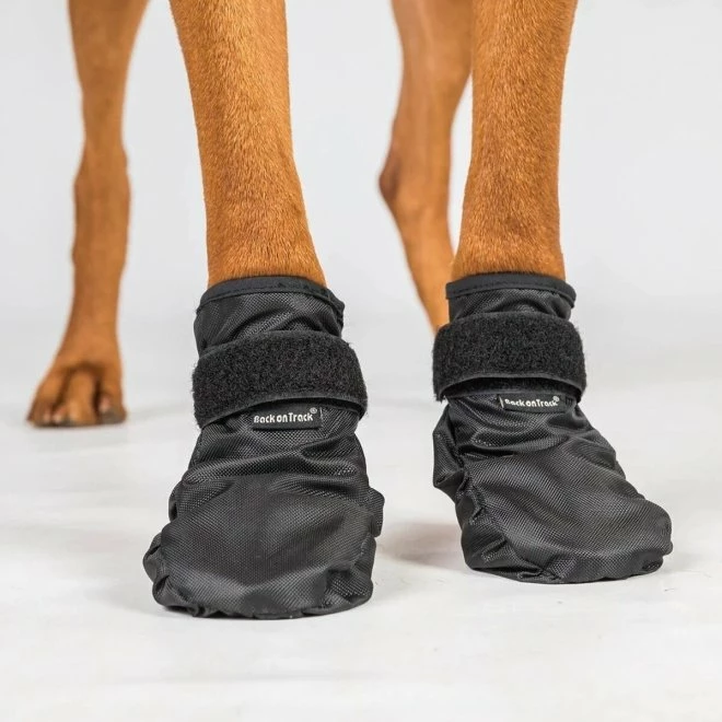 Back On Track Koda Hundesko 5 Back On Track Koda Hundesko - Bilde 3