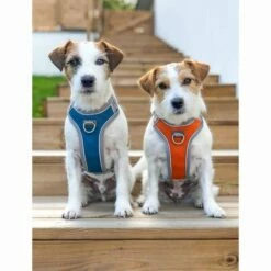 Hurtta Venture No-Pull Hundesele Oransje -Kjæledyrutstyr Salgsbutikk koiran valjaat hurtta venture tyrni az 6f