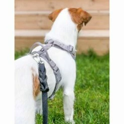 Hurtta Venture No-Pull Hundesele Oransje -Kjæledyrutstyr Salgsbutikk koiran valjaat hurtta venture tyrni az ae