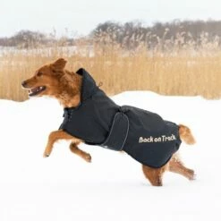 Back On Track Hundedekken Standard -Kjæledyrutstyr Salgsbutikk koiranloimi back on track 96