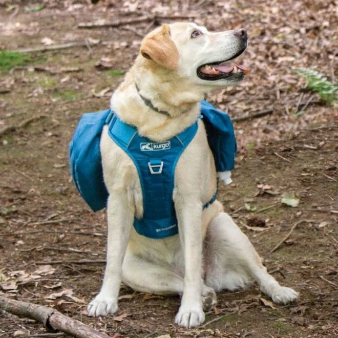 Kurgo RSG County Harness Hundesele Blå 5 Kurgo RSG County Harness Hundesele Blå - Bilde 3