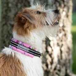 Kusse&Kutta Hundhalsband Rosa Donuts -Kjæledyrutstyr Salgsbutikk kussekussa lycra panta donitsiponit az dc