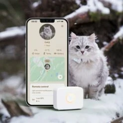 Lilcat GPS-Tracker Til Katt -Kjæledyrutstyr Salgsbutikk lilcat gps paikannin kissoille az 92