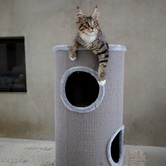 Little&Bigger Hidy Kloremøbel 4 Little&Bigger Hidy Kloremøbel - Bilde 2