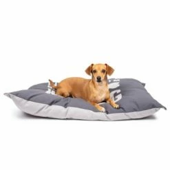 Little&Bigger Life Is Better Pute Grå 5 Little&Bigger Life Is Better Pute Grå -Kjæledyrutstyr Salgsbutikk littlebigger life is better tyyny harmaa c0