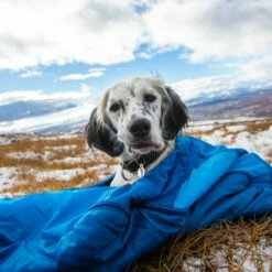 Non-stop Dogwear Ly Sovepose Til Hund