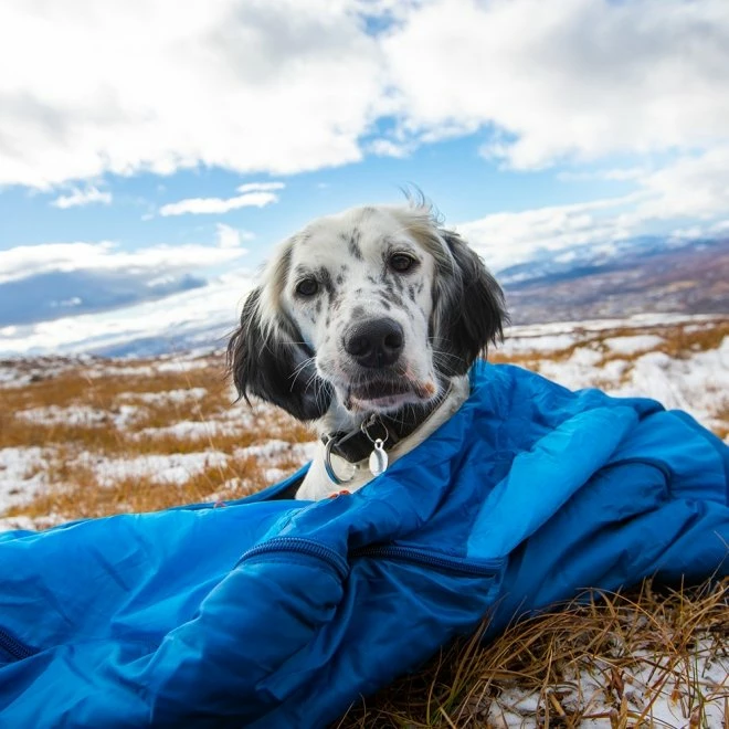 Non-stop Dogwear Ly Sovepose Til Hund 3 Non-stop Dogwear Ly Sovepose Til Hund