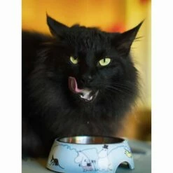 Moomin For Pets Matskål -Kjæledyrutstyr Salgsbutikk melamiinikuppi moomin for pets az 83868 84