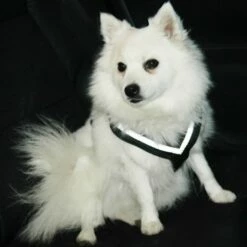 MiM All Safe Bilsele