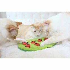 Nina Ottosson Buggin’Out Puzzle&Play Katteleke -Kjæledyrutstyr Salgsbutikk nina ottosson cat bugginout puzzle play gron 22