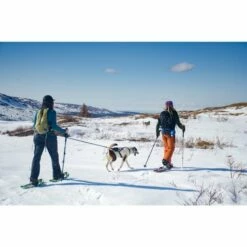 Non-Stop Dogwear Ferd Magebelte Hund -Kjæledyrutstyr Salgsbutikk non stop dogwear ferd hundforarbalte 9c