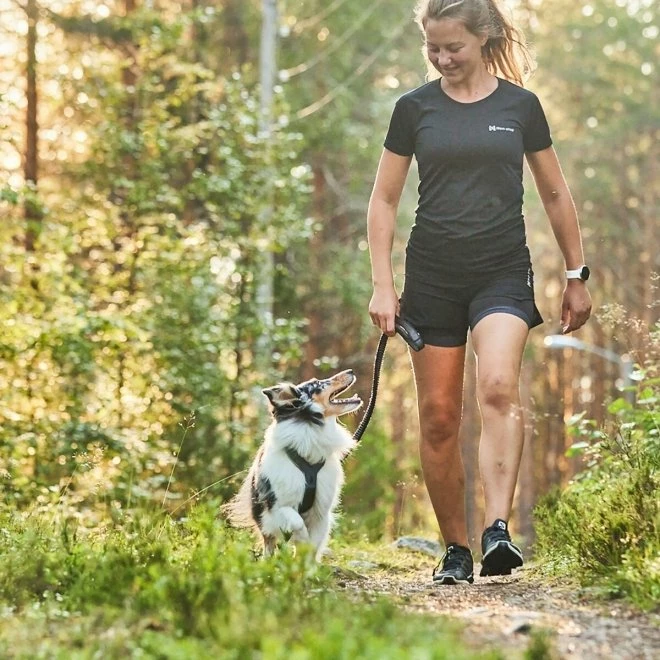 Non-Stop Dogwear Line Hundsele 5.0 Grønn 4 Non-Stop Dogwear Line Hundsele 5.0 Grønn - Bilde 2