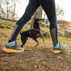 Non-stop Dogwear Non-Stop Line Hundsele 5.0 Lila 9 Non-stop Dogwear Non-Stop Line Hundsele 5.0 Lila -Kjæledyrutstyr Salgsbutikk non stop dogwear line harness 50 violetti az 03