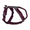 Non-stop Dogwear Non-Stop Line Hundsele 5.0 Lila