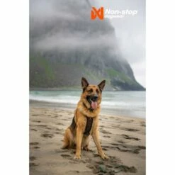 Non-stop Dogwear Rock Harness Hundesele Svart/Orange -Kjæledyrutstyr Salgsbutikk non stop dogwear rock harness hundsele svart orange 17