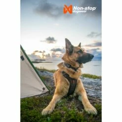 Non-stop Dogwear Rock Harness Hundesele Svart/Orange -Kjæledyrutstyr Salgsbutikk non stop dogwear rock harness hundsele svart orange 22