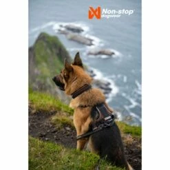 Non-stop Dogwear Rock Harness Hundesele Svart/Orange -Kjæledyrutstyr Salgsbutikk non stop dogwear rock harness hundsele svart orange 69