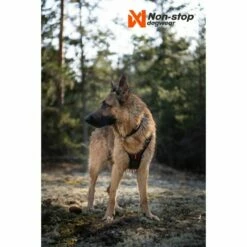 Non-stop Dogwear Rock Harness Hundesele Svart/Orange -Kjæledyrutstyr Salgsbutikk non stop dogwear rock harness hundsele svart orange 74