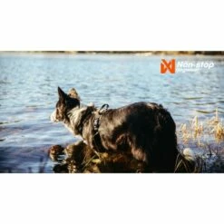 Non-stop Dogwear Rock Harness Hundesele Svart/Orange -Kjæledyrutstyr Salgsbutikk non stop dogwear rock harness hundsele svart orange f7