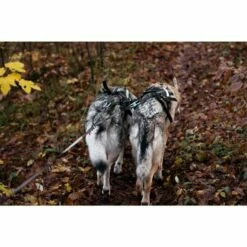 Non-stop Dogwear Touring Double Divider Til Kobbel 11 Non-stop Dogwear Touring Double Divider Til Kobbel -Kjæledyrutstyr Salgsbutikk non stop dogwear touring double divider avdelare for koppel 41