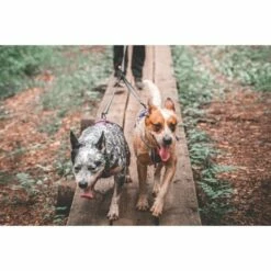 Non-stop Dogwear Touring Double Divider Til Kobbel 10 Non-stop Dogwear Touring Double Divider Til Kobbel -Kjæledyrutstyr Salgsbutikk non stop dogwear touring double divider avdelare for koppel e5