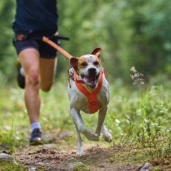 Non-Stop Dogwear Freemotion 5.0 Drasele Oransje & Svart -Kjæledyrutstyr Salgsbutikk non stop freemotion valjaat 50 musta oranssi az 02