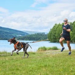 Non-Stop Dogwear Freemotion 5.0 Drasele Oransje & Svart -Kjæledyrutstyr Salgsbutikk non stop freemotion valjaat 50 musta oranssi az 96